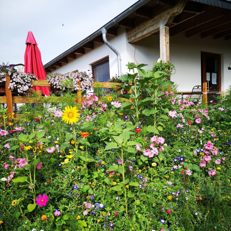 Jüttes Weidberghof bei Instagram