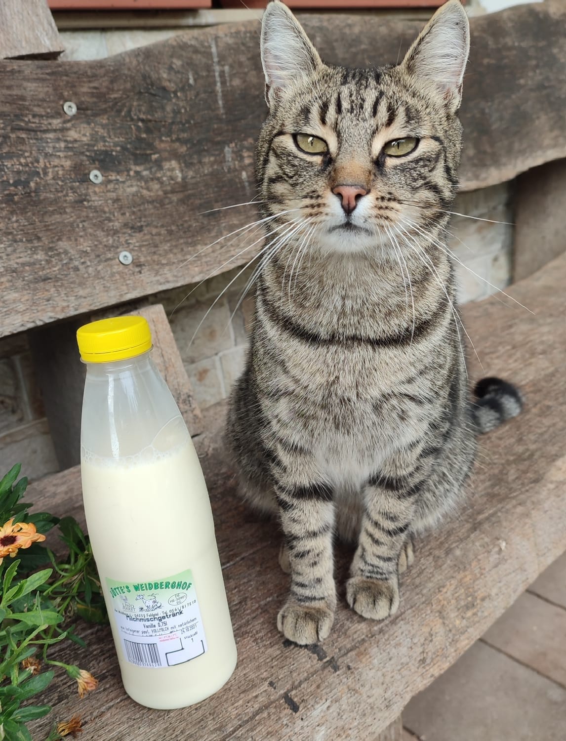 Weidberghof Milch